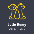 Vétérinaire Forest